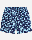 Blue Paradise Key Men's Swim Trunks