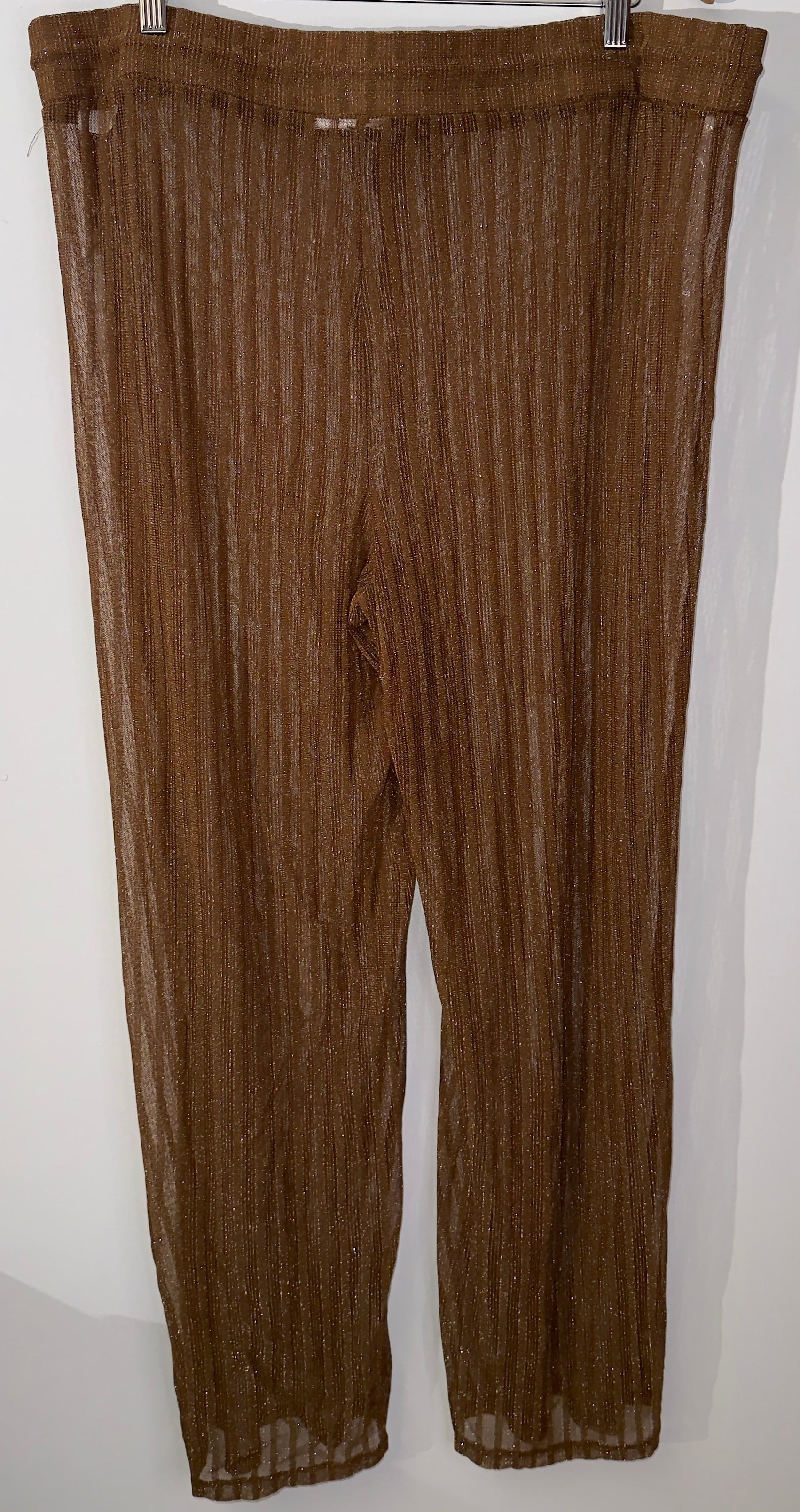 Bronze Shimmer Sheer Metallic Pleated Wide Leg Drawstring Pants Size 2X