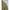 Sun and Stone Men’s Tan Linen Button Up Size medium