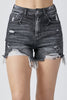 High Rise Distressed Denim Shorts