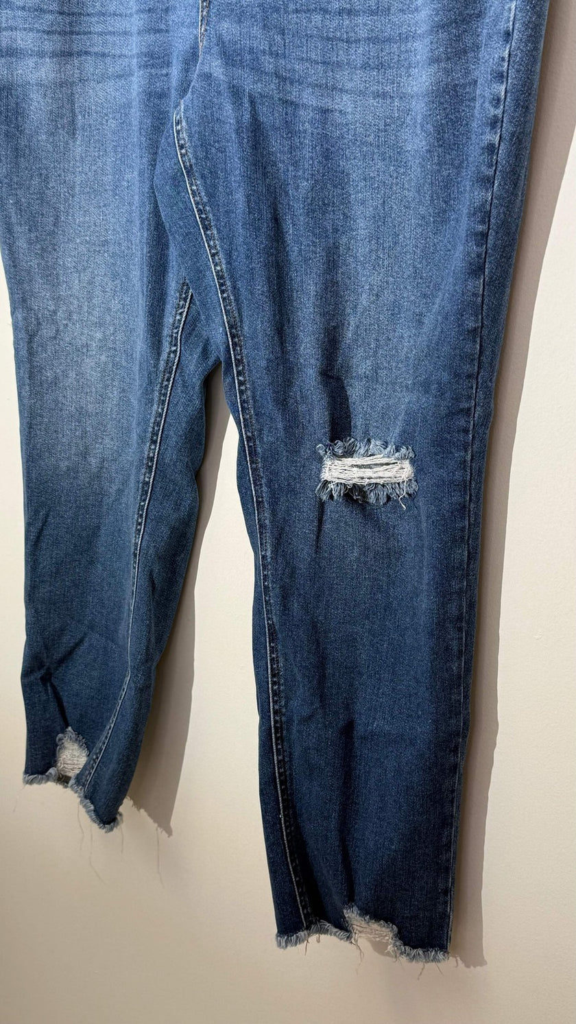 Terra & Sky Blue Distressed Skinny Denim Jeans with Raw Hem, Size 20W