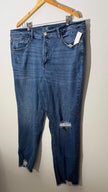 Terra & Sky Blue Distressed Skinny Denim Jeans with Raw Hem, Size 20W