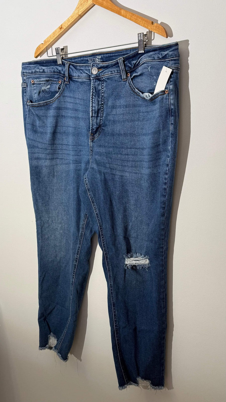 Terra & Sky Blue Distressed Skinny Denim Jeans with Raw Hem, Size 20W